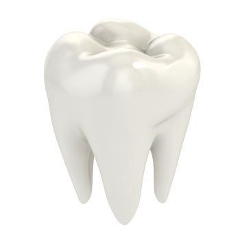 Image of a wisdom tooth.